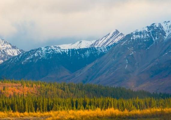 Denali Mountains